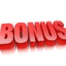 bonus_0-300x240