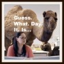 geico-camel-hump-day-commercial edited