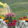 pi4r_money_garden
