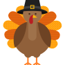 Turkey2